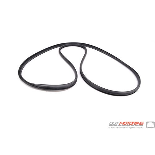Sunroof Gasket: Front