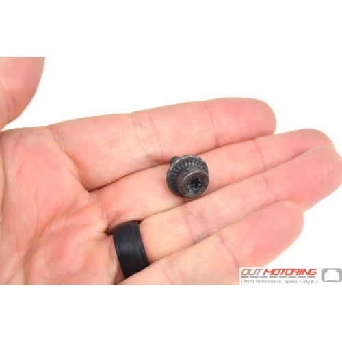 Torx Bolt W/ Washer for Sunroof