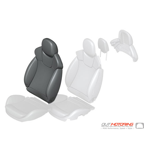 Cover: Sports Backrest: Recaro: Dinamical Leather: Right: Carbon Black